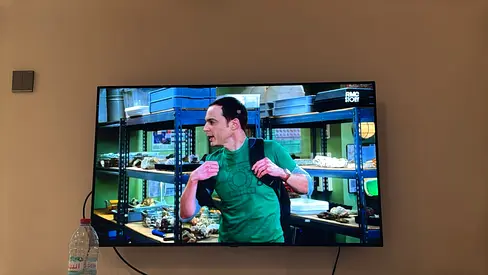 Lg oled 48inch  tv same like new condition perfect working