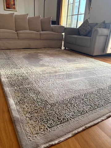 Danube Light grey patterned area rug - 200x300cm (amazing condition)