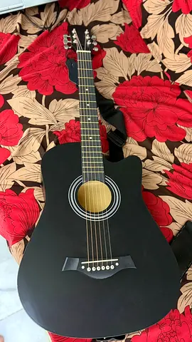 Acoustic Guitar