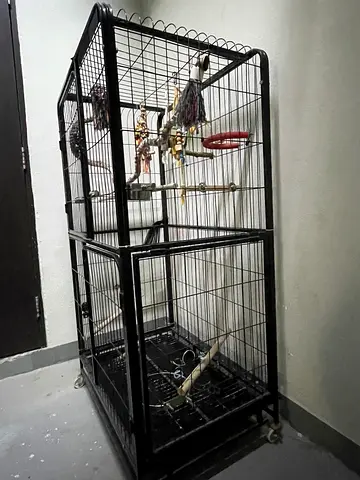 Extra Large black metal bird cage with accessories