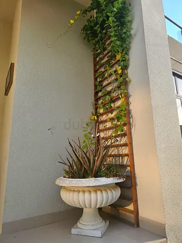 Large Decorative White Outdoor Planter with Wooden Trellis
