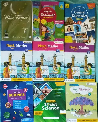 Grade 6 text books (Cbsc)