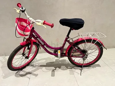 Cycle 18 inch wheel