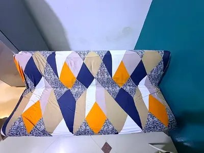 Home box sofa bed