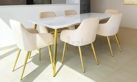 Dining table + 6 chairs