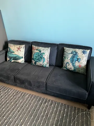 Dark Grey 3-Seater Sofa with Sea-Themed Cushions