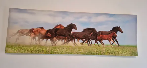 Framed wall canvass painting of Homecentre