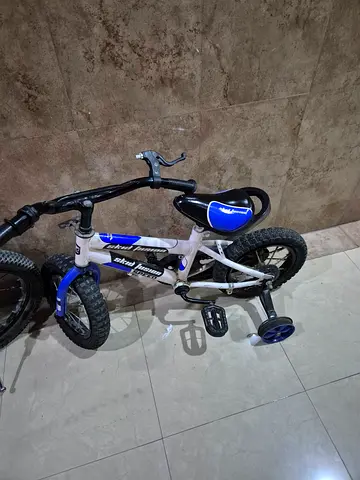 12 size cycle not working