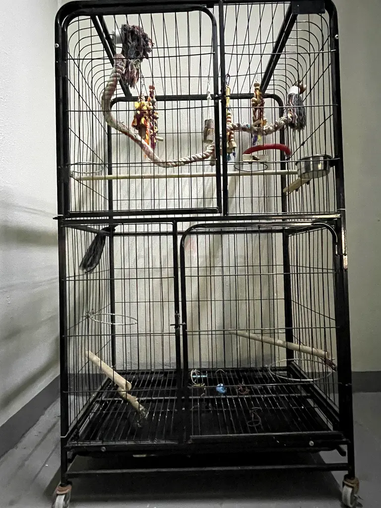 gallery-image