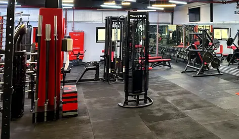 Commercial Gym Equipment Bundle — Multi-Station, Benches, Racks  Free Weights