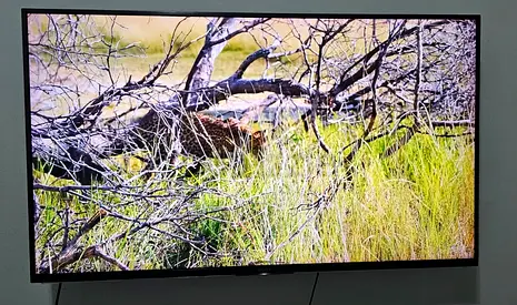 Sony Bravia 49-inch LED TV - Wall Mounted, Good Condition