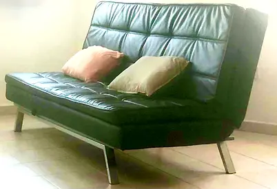 Sofa Bed (functioning but worn)