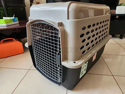 Dogs carriers for air travel