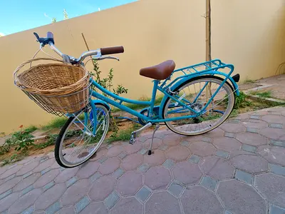 Bicycle