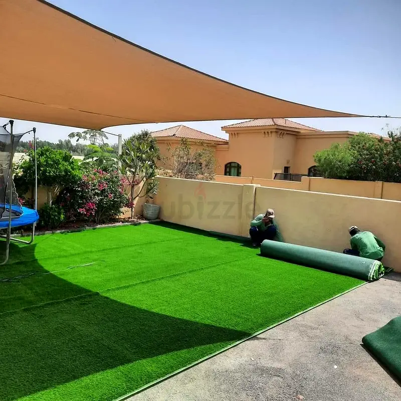 DPV_View_Image_3