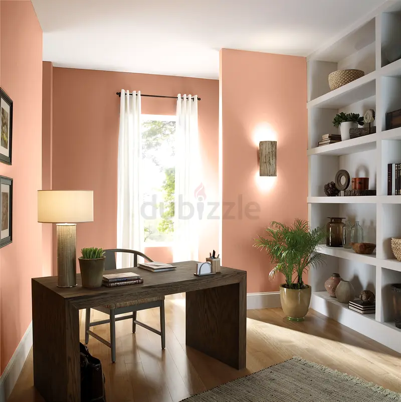 DPV_View_Image_2