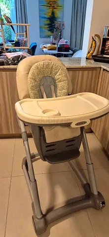 Graco Blossom 6 in 1 Convertible High Chair