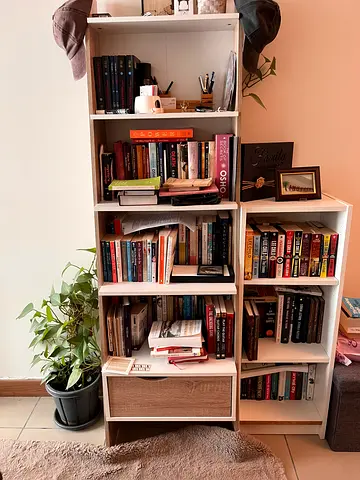 Excellently well maintained contemporary designed book case /shelf with storage.