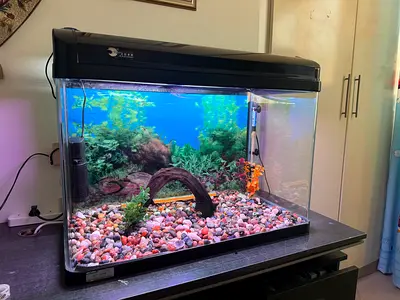 80 cm Glass Fish Aquarium Tank with Hood, Filter and Led - urgent sale