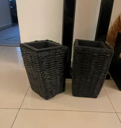 Plants pot new