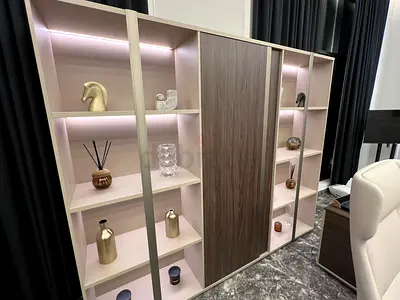 Modern Display Cabinet with Integrated Lighting