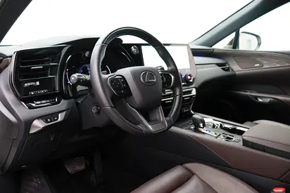 Lexus RX 350h Platinum, миниатюра 11