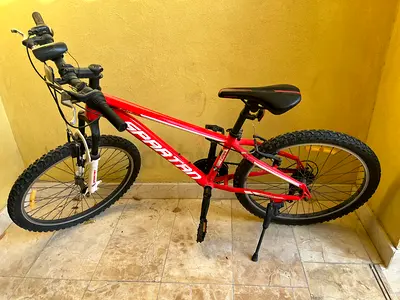 Mountain bike