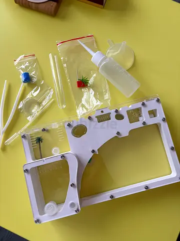 Ants farm