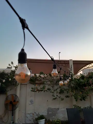 Outdoor String Edison Bulb Lights - Set of Hanging Bulbs