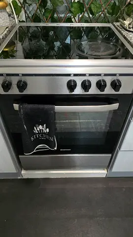 Electric stove
