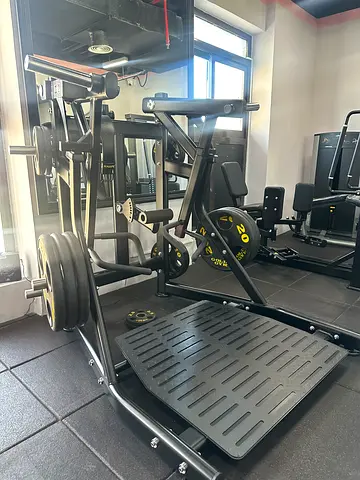 Newtech Torture Low Row - Good Condition