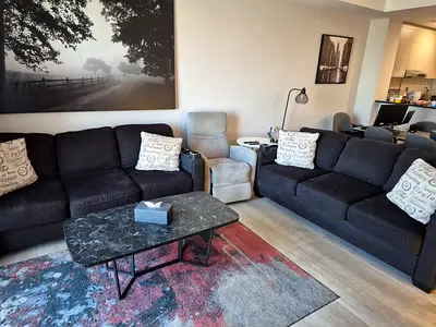 Two Sofa beds