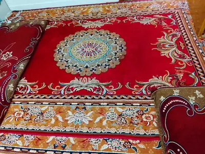 Red Persian-style Area Rug with Central Medallion - with 4 mattress and 5 pillow covers
