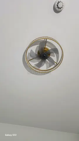 Decorative ceiling fan with remote and chandelier  - good condition