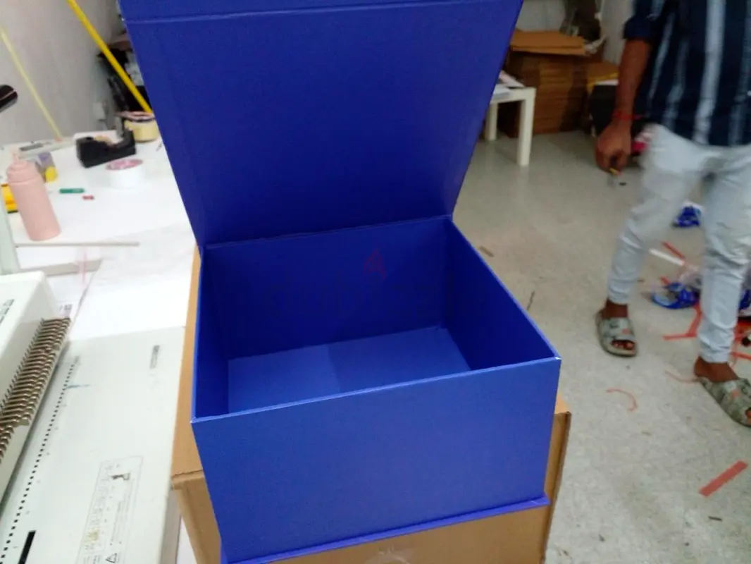 DPV_View_Image_4