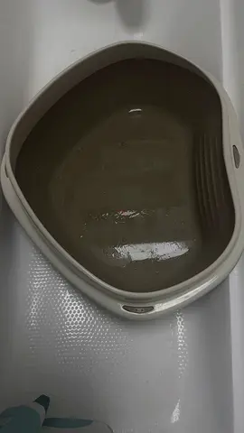 Corner Cat Litter Box - Used, Clean