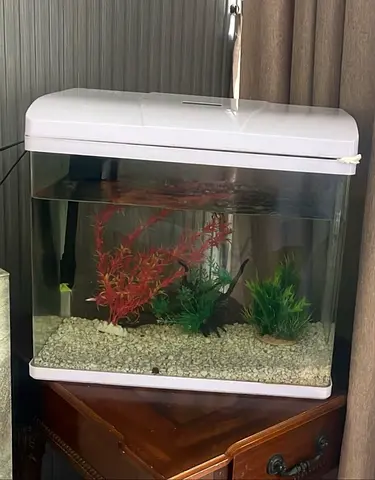 53X45X28 CM - LED Aquarium Fish Tank with Decorative Plants (Used)