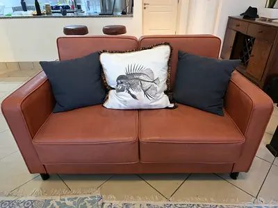 Stylish 2-Seat Leather Sofa