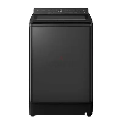 Panasonic 13 kg Top Load Washing Machine, Silver, NAFD13X3BRN