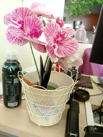 Pink Artificial Orchid in Decorative White Wire Pot