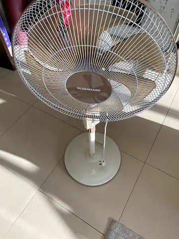 Electric Fan