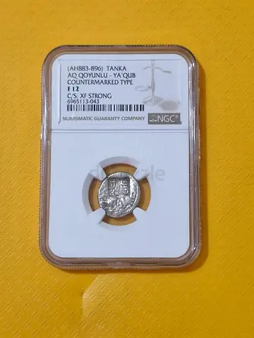 Turkoman silver coin