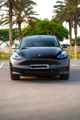 Tesla Model Y Standard 2022 - Chinese Specs