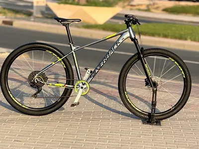 Silverback mtb/29
