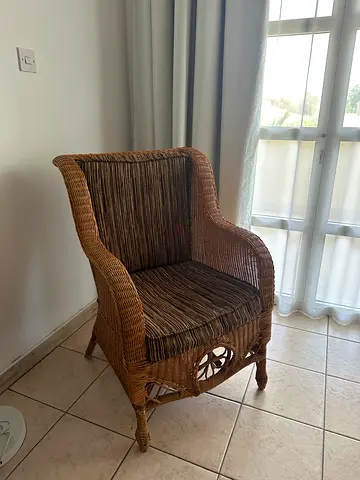 Wicker/Rattan Armchair with Cushioned Seat