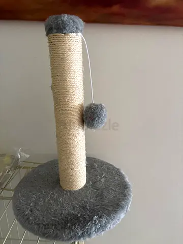 Cat scartching toy