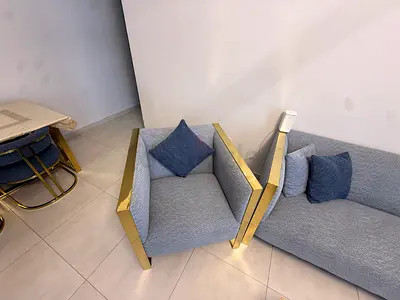 Modern Baby Blue Stylish Sofa and Armchair Set with Gold Frame