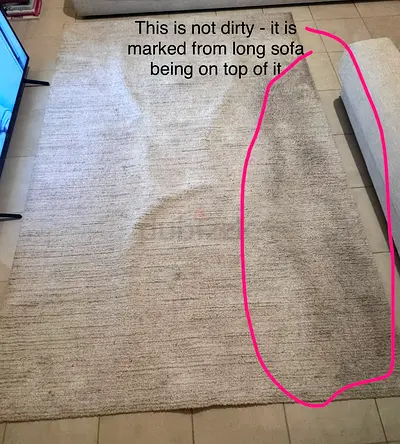 Large Rug - Clean, but marked