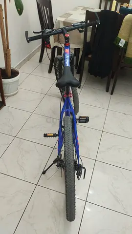 Cycle