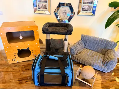 Cats accessories